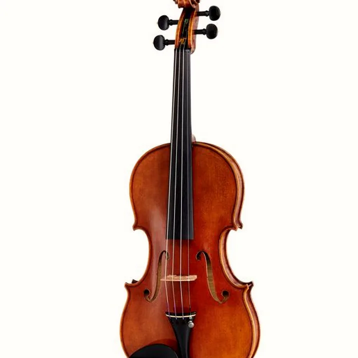 Andrea Varazzani Violin Model Capicchioni