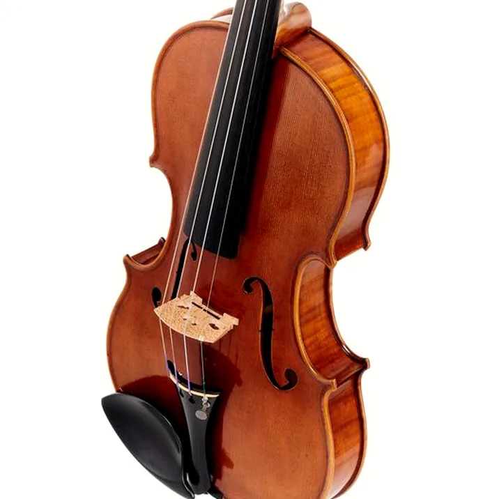 Andrea Varazzani Violin Model Capicchioni