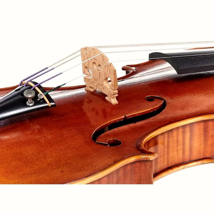 Andrea Varazzani Violin Model Capicchioni