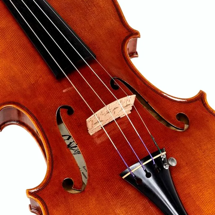Andrea Varazzani Violin Model Capicchioni