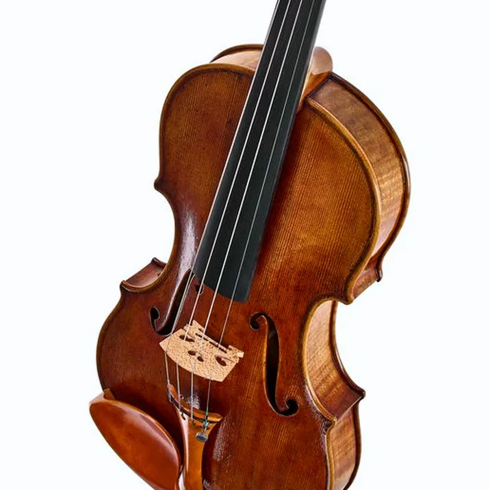 Andrea Varazzani Violin Model Guarneri Sainton