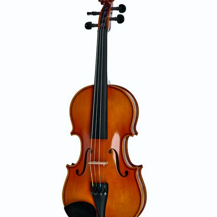 Artino European Wood Violin Set 1 2