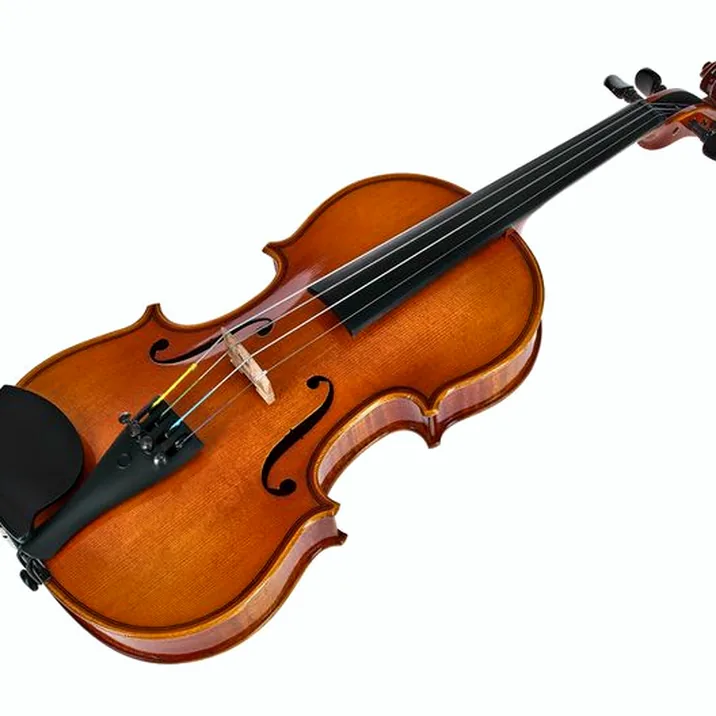 Artino European Wood Violin Set 1/2
