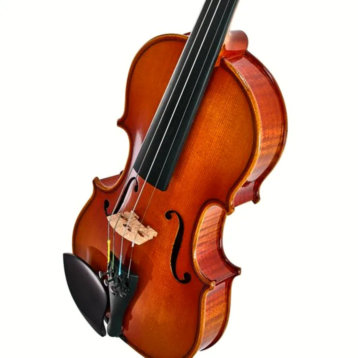 Artino European Wood Violin Set 1/2