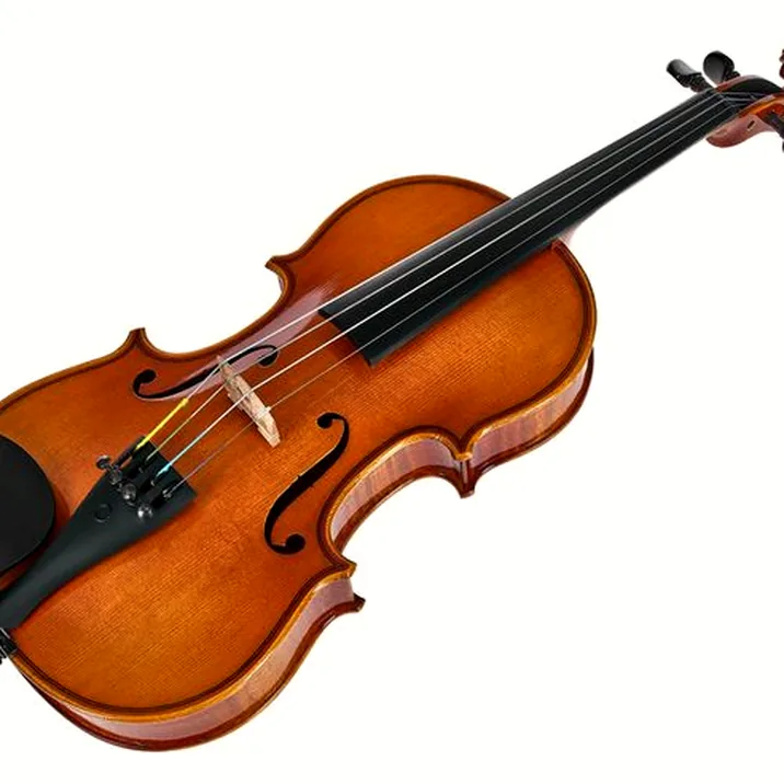 Artino European Wood Violin Set 1/4