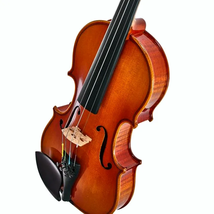 Artino European Wood Violin Set 1/4