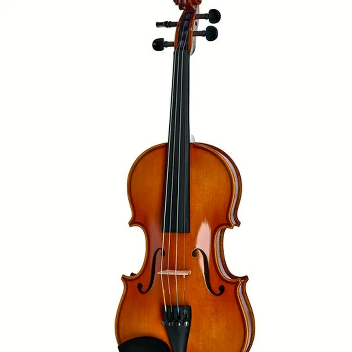 Artino European Wood Violin Set 1 8
