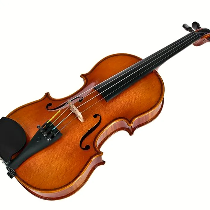 Artino European Wood Violin Set 1/8