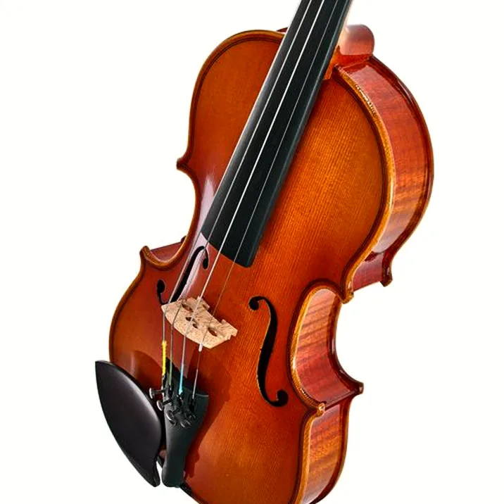 Artino European Wood Violin Set 1/8