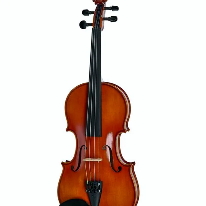 Artino European Wood Violin Set 3 4