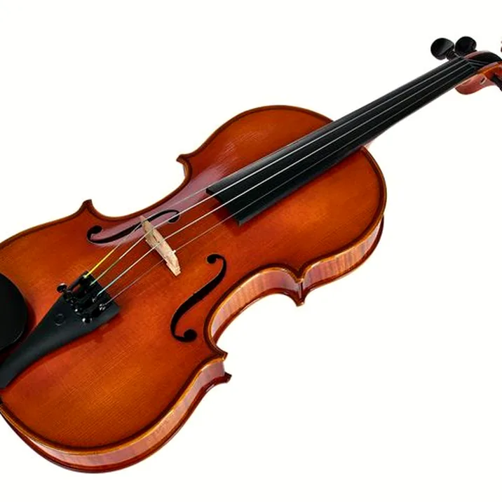 Artino European Wood Violin Set 3/4