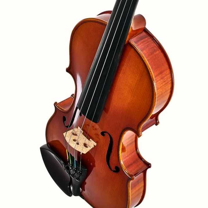 Artino European Wood Violin Set 3/4