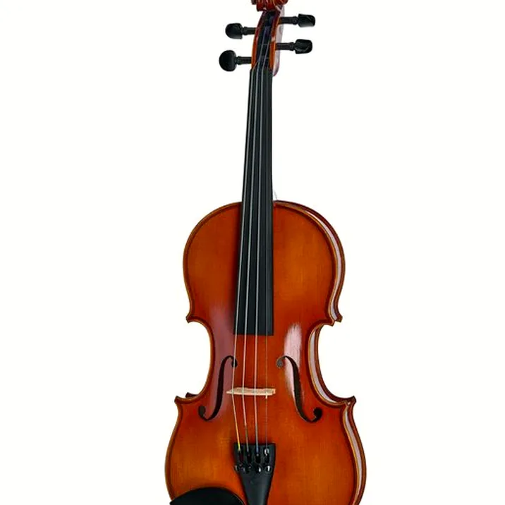 Artino European Wood Violin Set 4 4