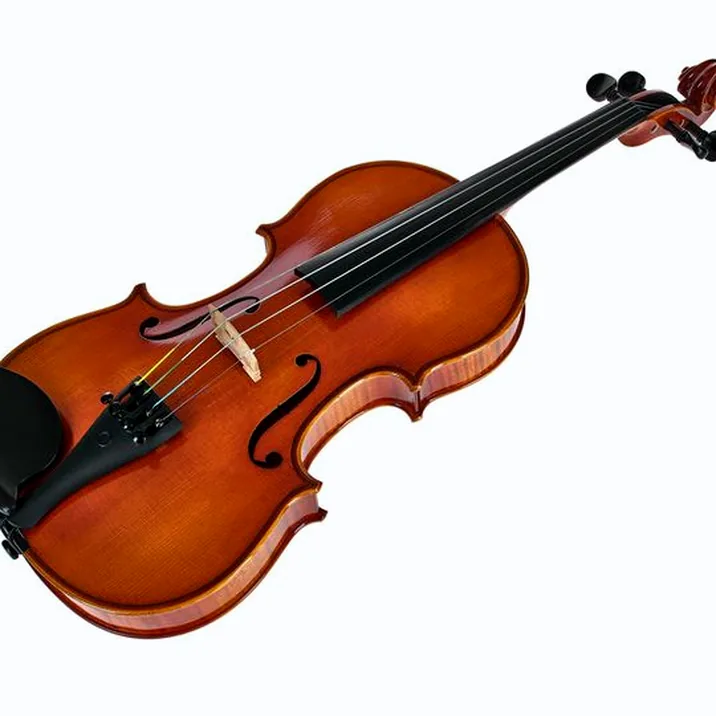 Artino European Wood Violin Set 4/4