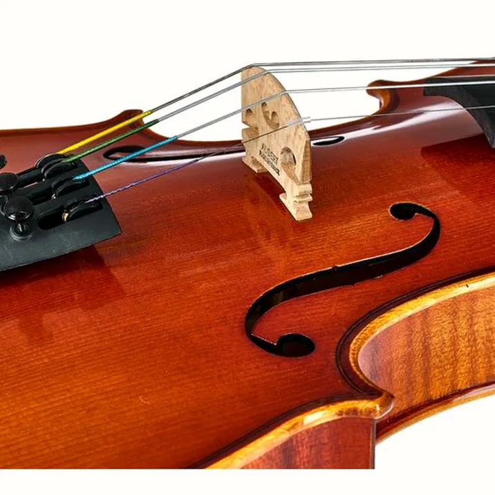 Artino European Wood Violin Set 4/4