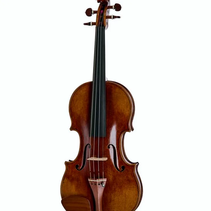 Bernd Hiller Sohn Antonio Stradivari Violin 4 4
