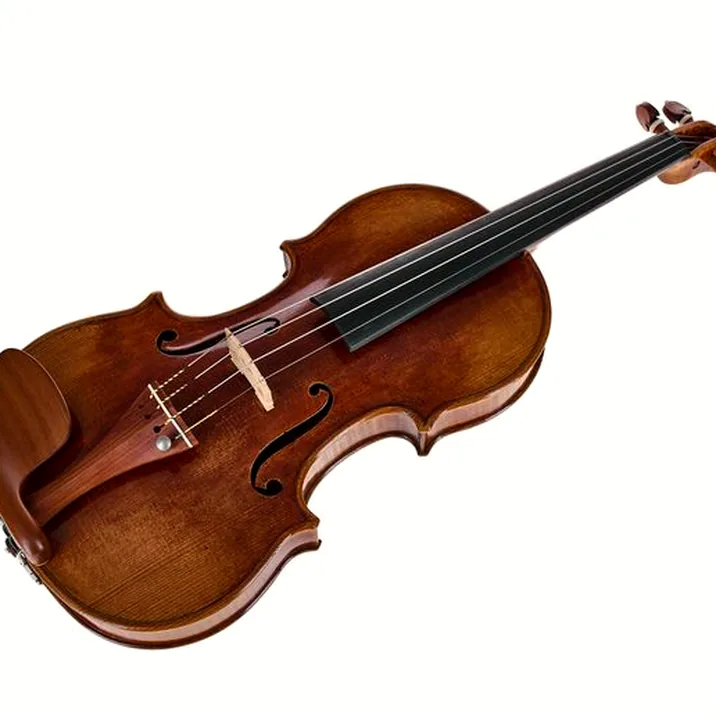Bernd Hiller & Sohn Antonio Stradivari Violin 4/4