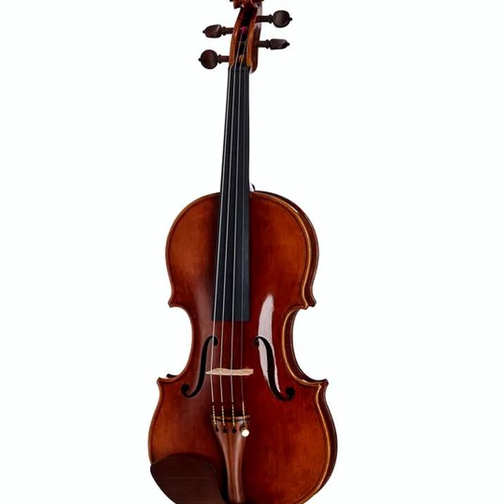 Bernd Hiller Sohn Nicolo Amati Violin 4 4
