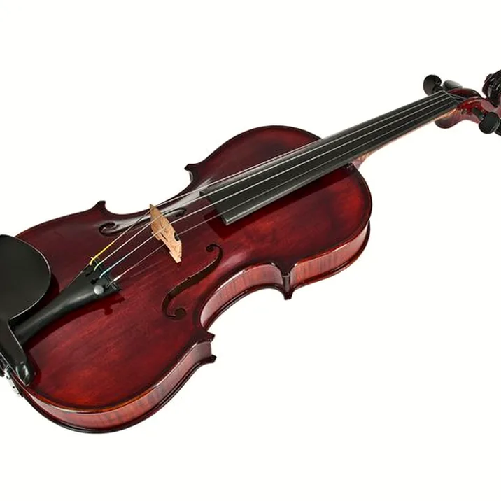 Conrad Götz Heritage Bohemia 108 Violin