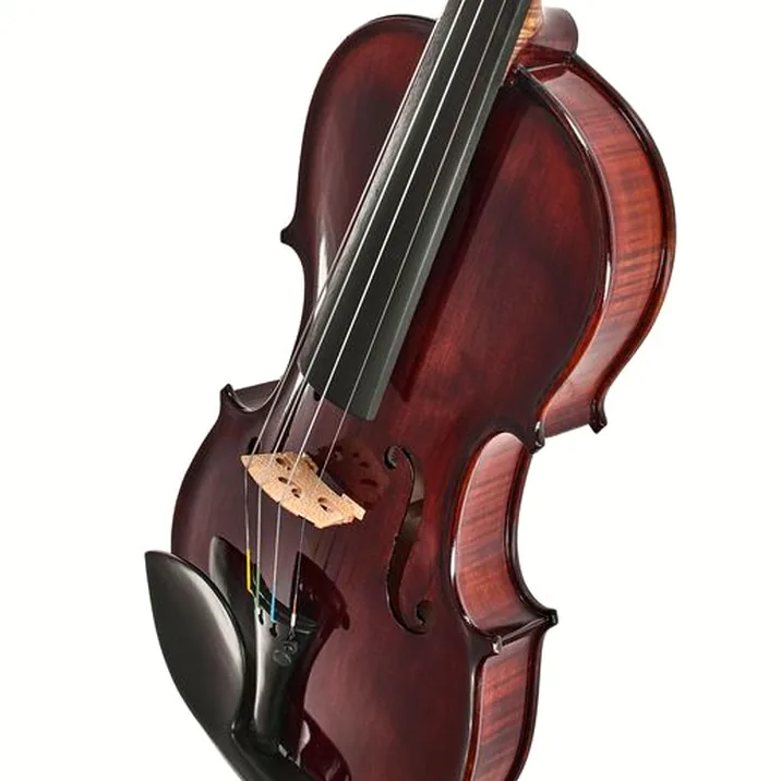 Conrad Götz Heritage Bohemia 108 Violin