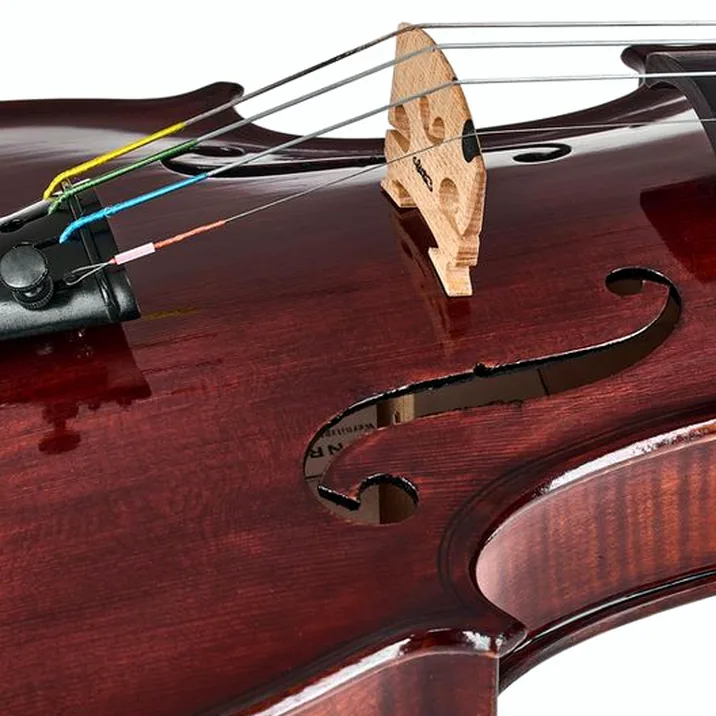 Conrad Götz Heritage Bohemia 108 Violin