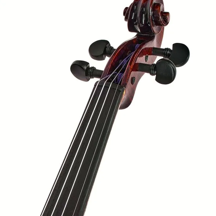 Conrad Götz Heritage Bohemia 108 Violin