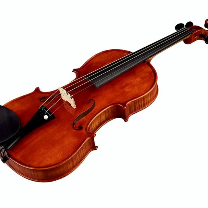 Conrad Götz Heritage Contempor. 115 Violin