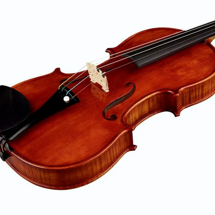 Conrad Götz Heritage Contempor. 115 Violin