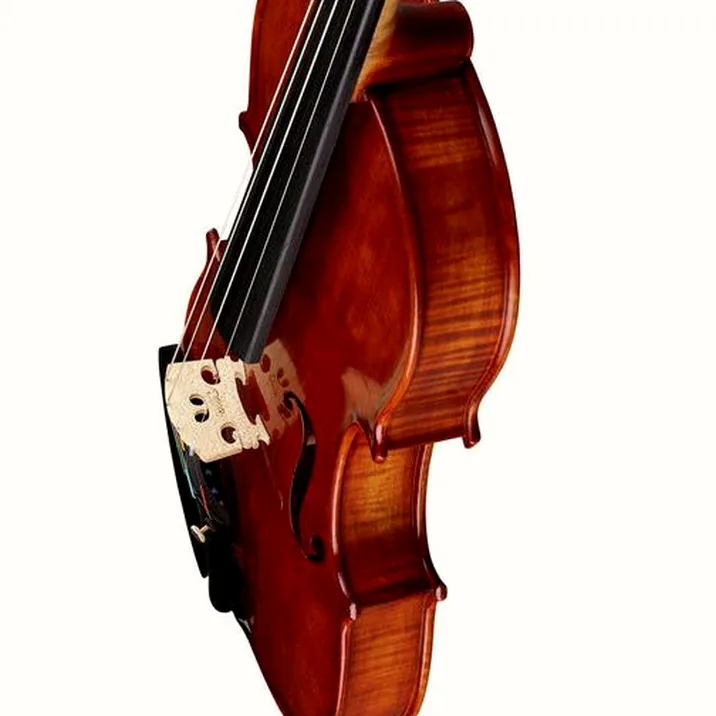 Conrad Götz Heritage Contempor. 115 Violin