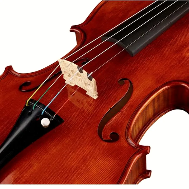 Conrad Götz Heritage Contempor. 115 Violin