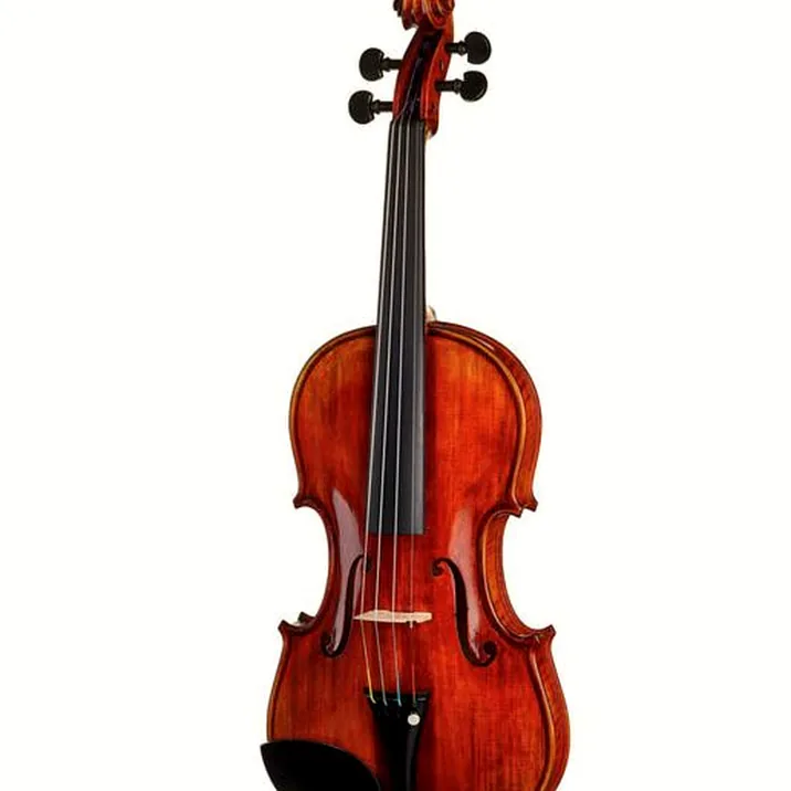 Conrad Goetz Heritage Contempor 123 Violin
