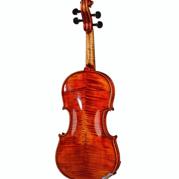 Conrad Götz Heritage Contempor. 123 Violin
