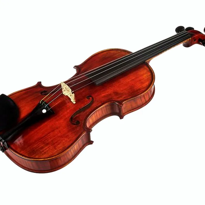 Conrad Götz Heritage Contempor. 123 Violin