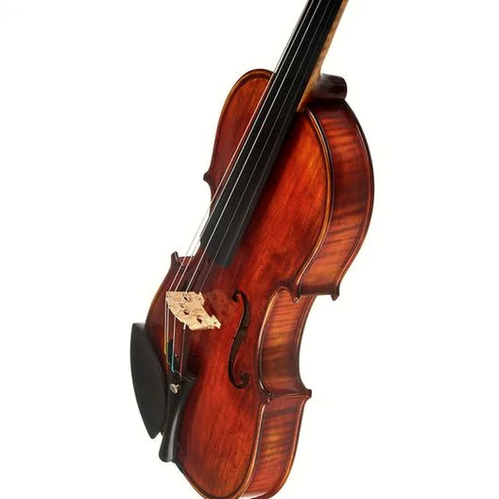 Conrad Götz Heritage Contempor. 123 Violin