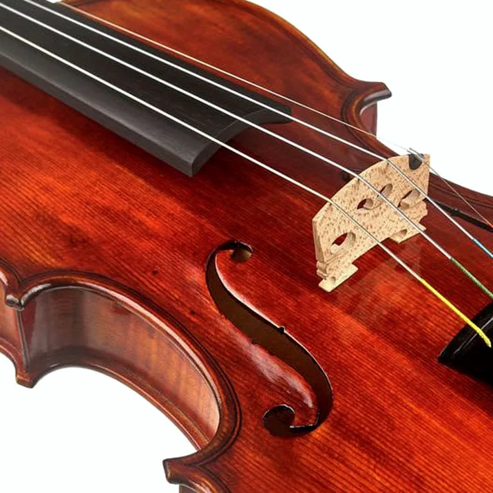 Conrad Götz Heritage Contempor. 123 Violin