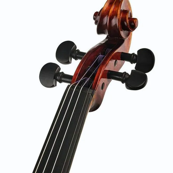 Conrad Götz Heritage Contempor. 123 Violin