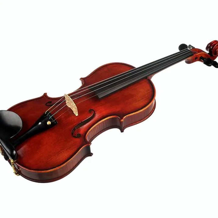 Conrad Götz Heritage Metropol 130 Violin
