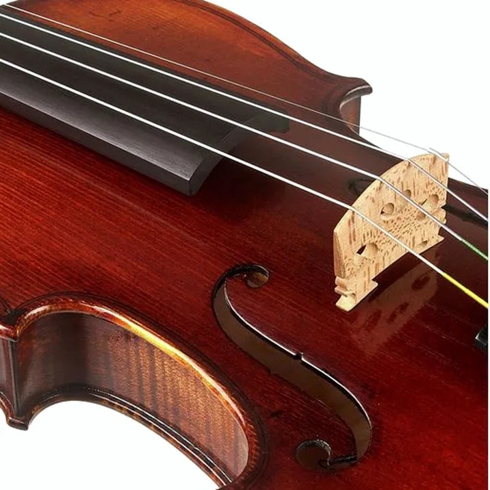 Conrad Götz Signature Antique 108 Violin