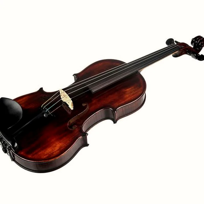 Conrad Götz Signature Bohemia 108 Violin