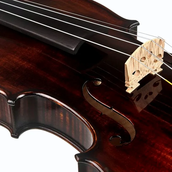 Conrad Götz Signature Bohemia 108 Violin