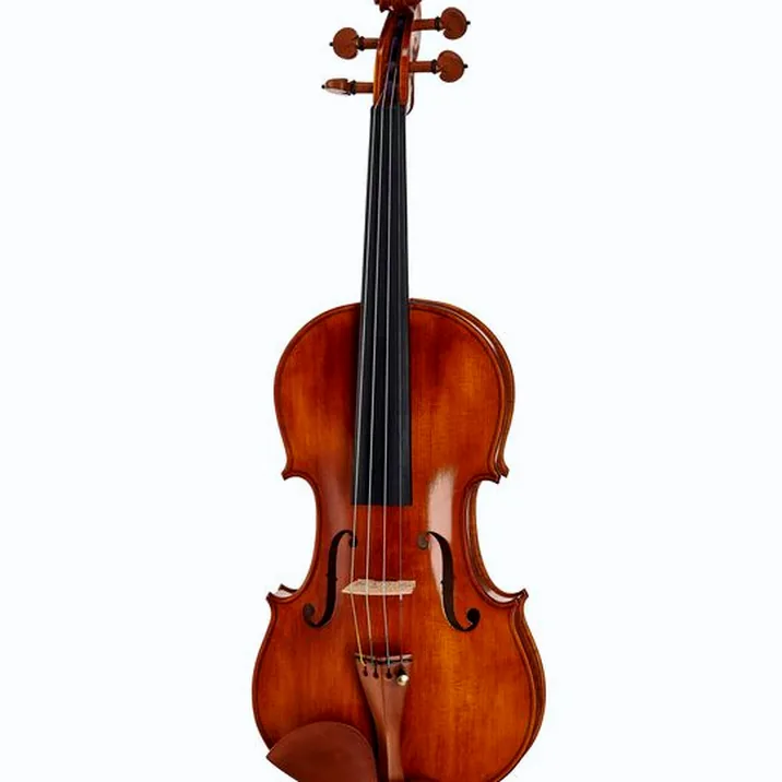 Conrad Goetz Signature Cantonate 115 Violin