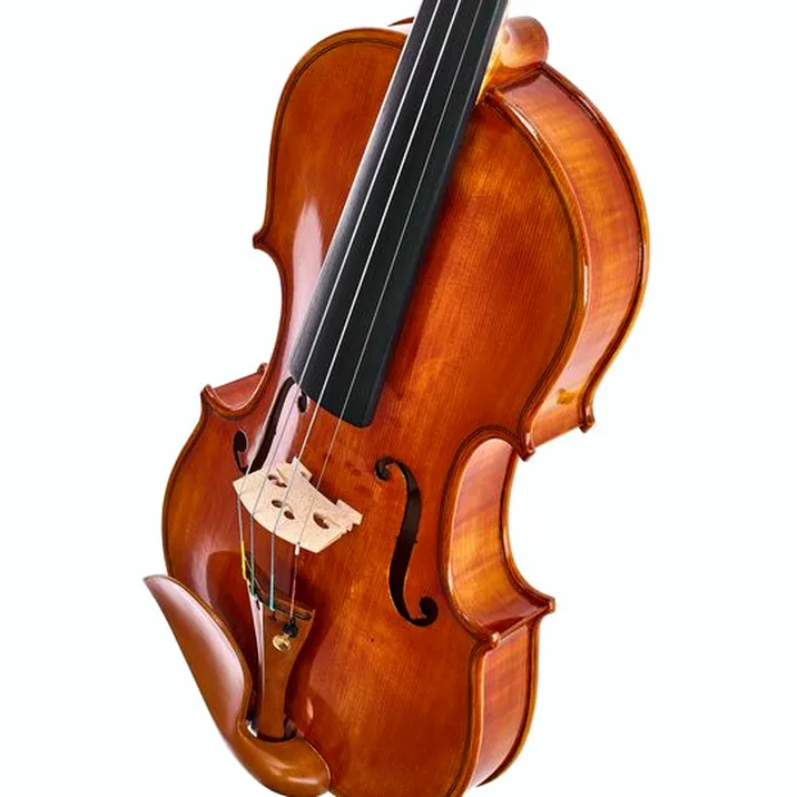 Conrad Götz Signature Cantonate 123 Violin