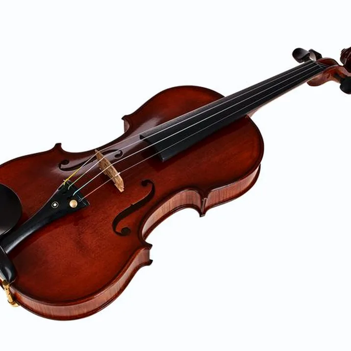 Conrad Götz Signature Metropol 115 Violin
