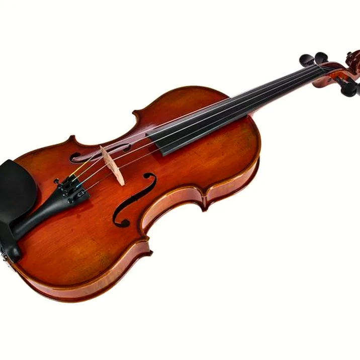 Eastman Albert Nebel Violin VL601G+