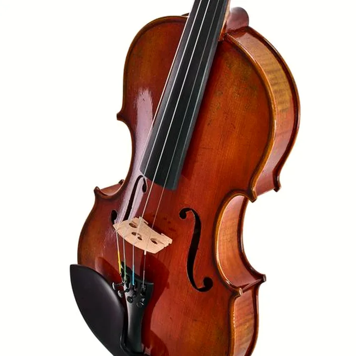 Eastman Albert Nebel Violin VL601G+