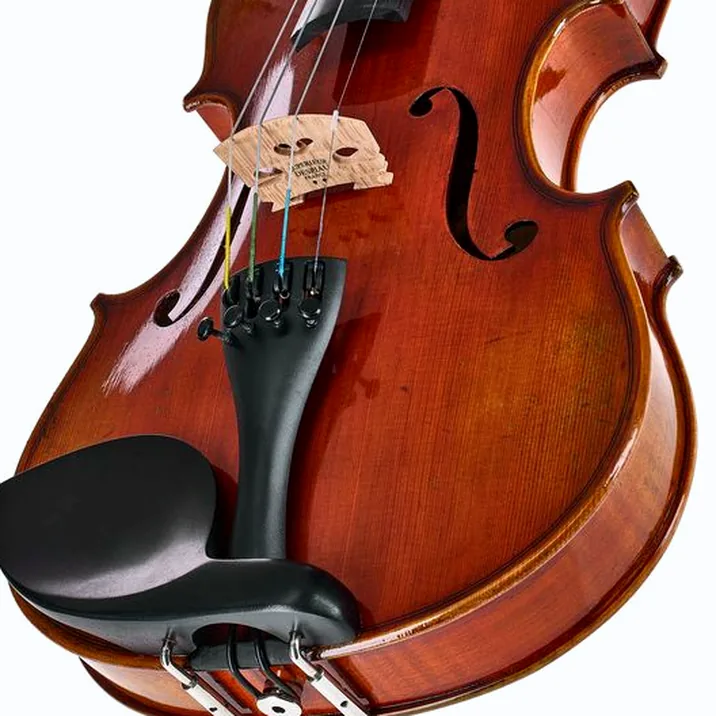 Eastman Albert Nebel Violin VL601G+
