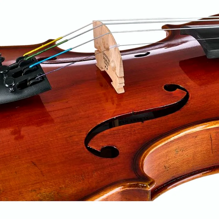 Eastman Albert Nebel Violin VL601G+