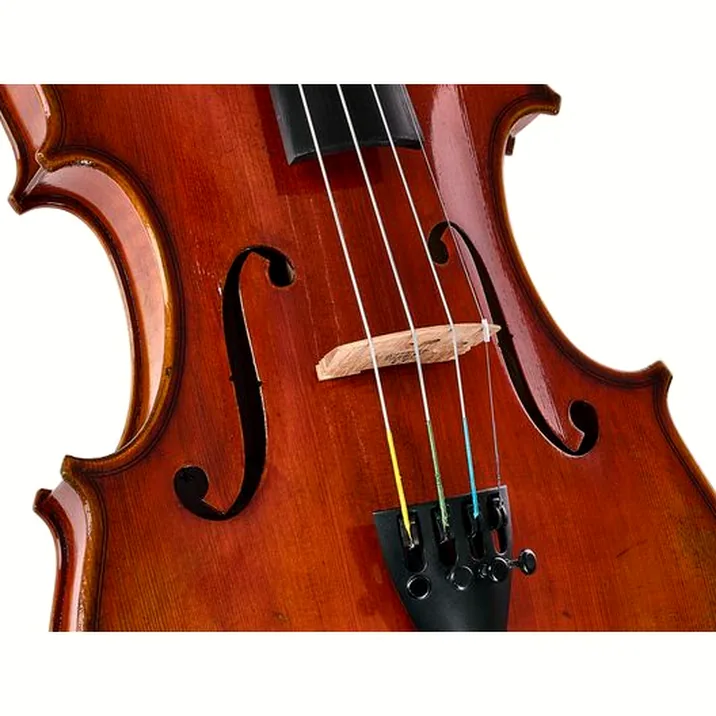 Eastman Albert Nebel Violin VL601G+