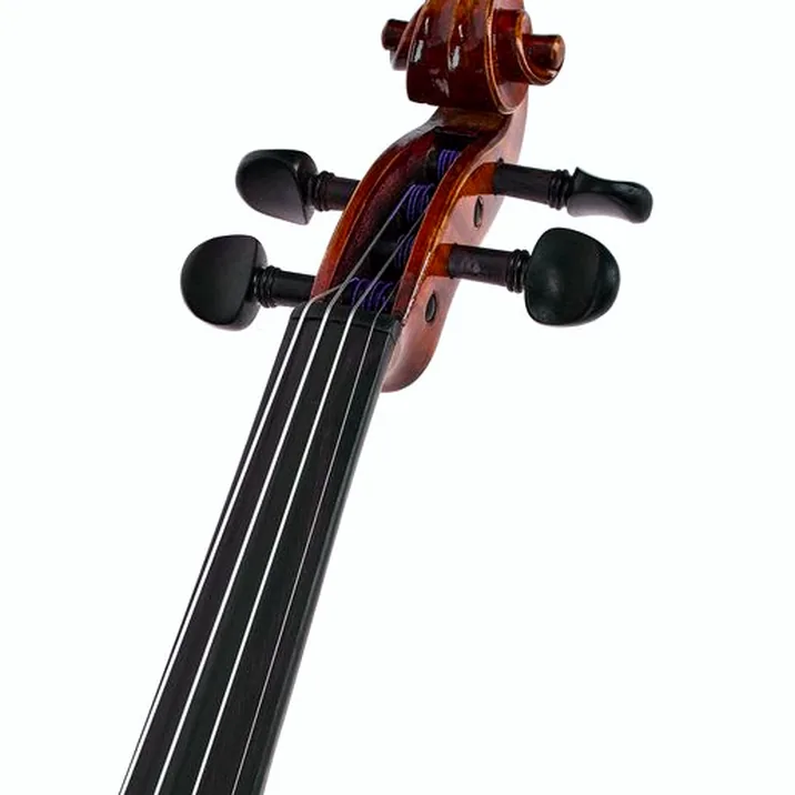 Eastman Albert Nebel Violin VL601G+