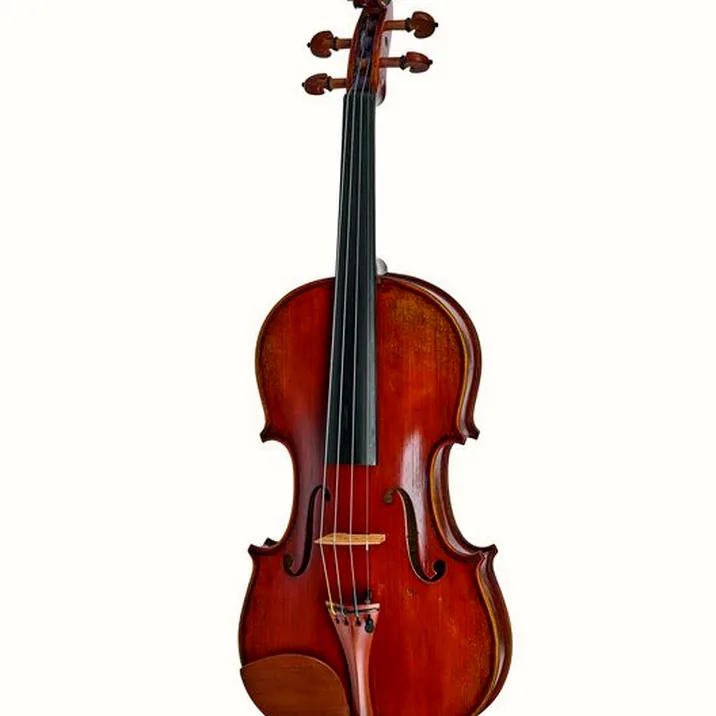 Eastman Andreas Eastman Violin Vl405 636497